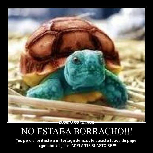 NO ESTABA BORRACHO!!! - Tio, pero si pintaste a mi tortuga de azul, le pusiste tubos de papel
higienico y dijiste: ADELANTE BLASTOISE!!!!