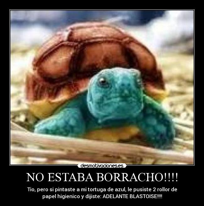 NO ESTABA BORRACHO!!!! - Tio, pero si pintaste a mi tortuga de azul, le pusiste 2 rollor de
papel higienico y dijiste: ADELANTE BLASTOISE!!!!