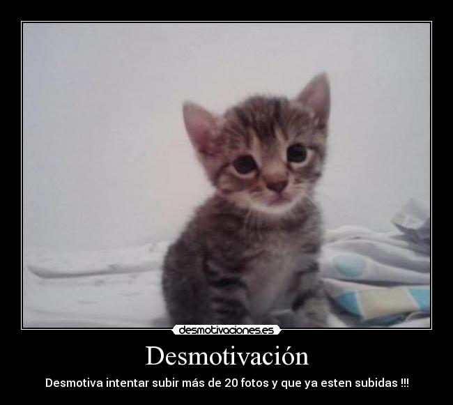 Desmotivación - Desmotiva intentar subir más de 20 fotos y que ya esten subidas !!!
