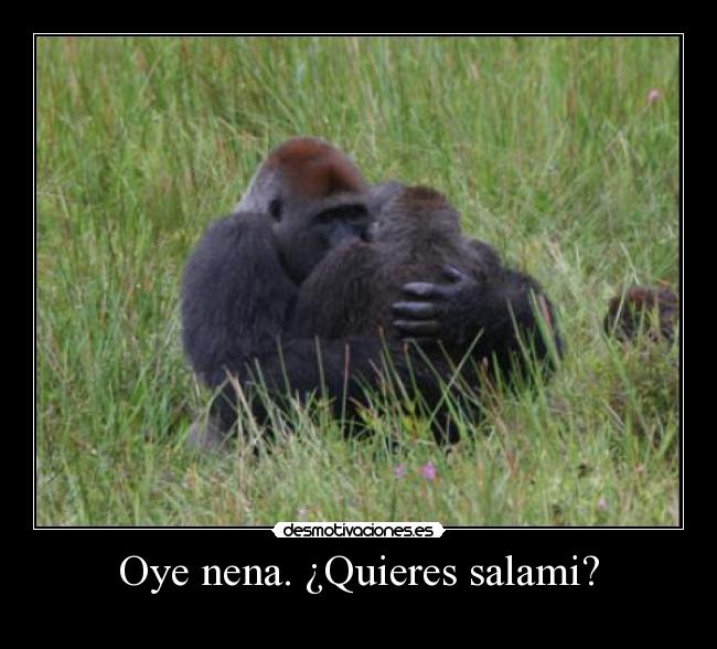 carteles amador que avecina salami desmotivaciones