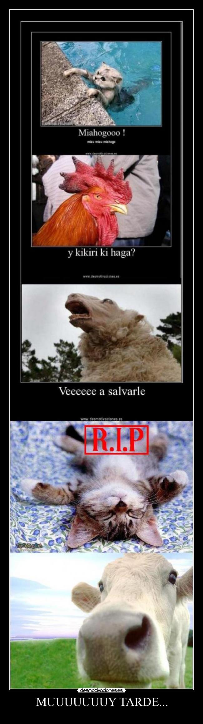 MUUUUUUUY TARDE... - 