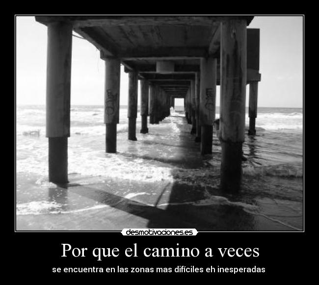 carteles por que camino veces desmotivaciones