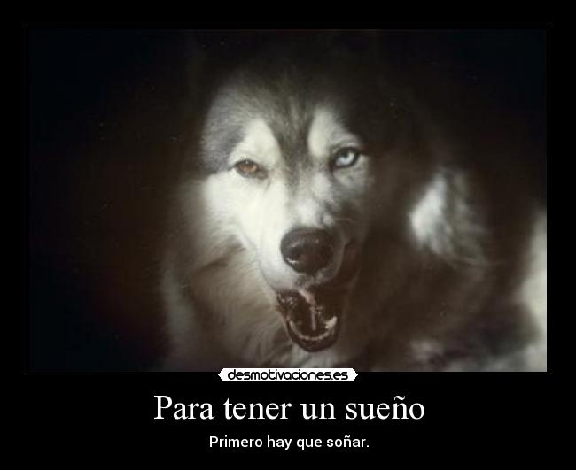 carteles desmotivaciones