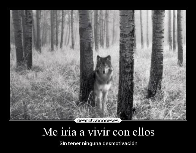 Me iria a vivir con ellos - SIn tener ninguna desmotivación