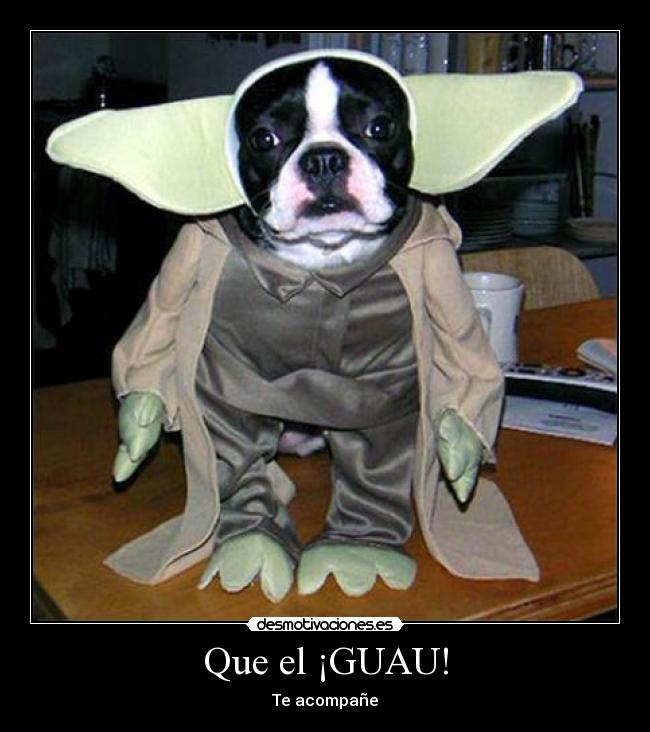 Que el ¡GUAU! - Te acompañe