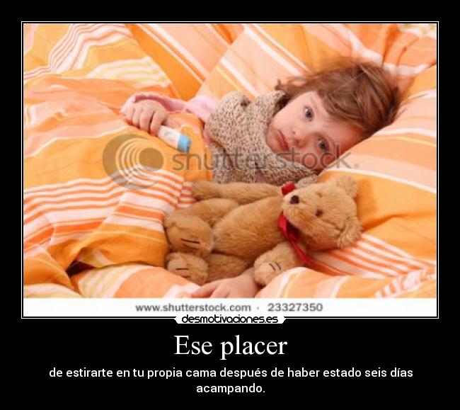 carteles ese placer estirarte propia cama despues haber estado seis dias acampando desmotivaciones