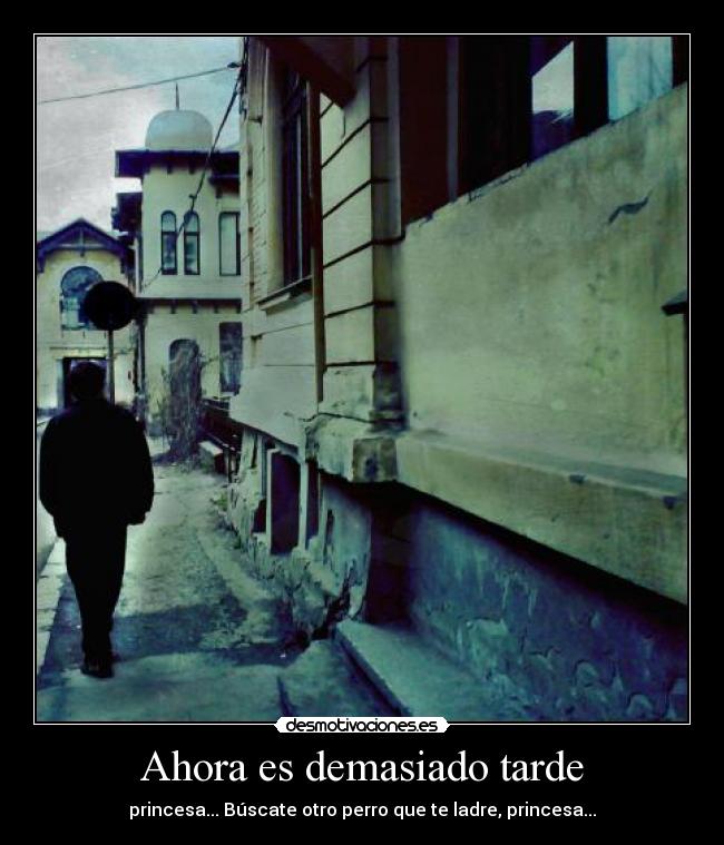 Ahora es demasiado tarde - princesa... Búscate otro perro que te ladre, princesa...