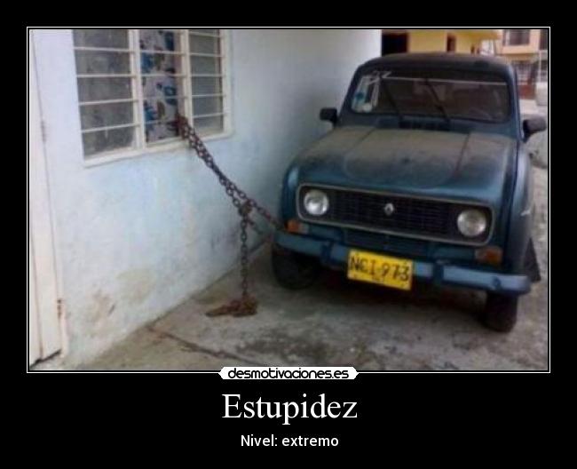 Estupidez - Nivel: extremo