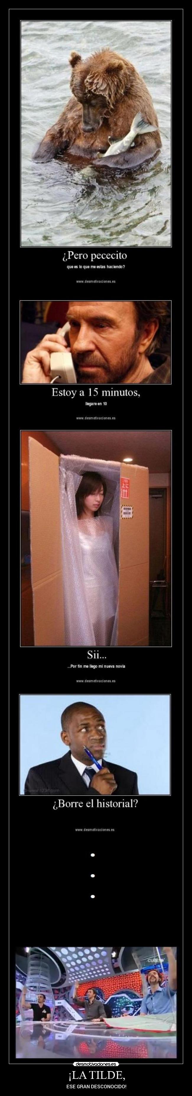 carteles tilde ese gran desconocido jorge jorgesdp normas ortograficas banana rabo pepina hormiguero desmotivaciones