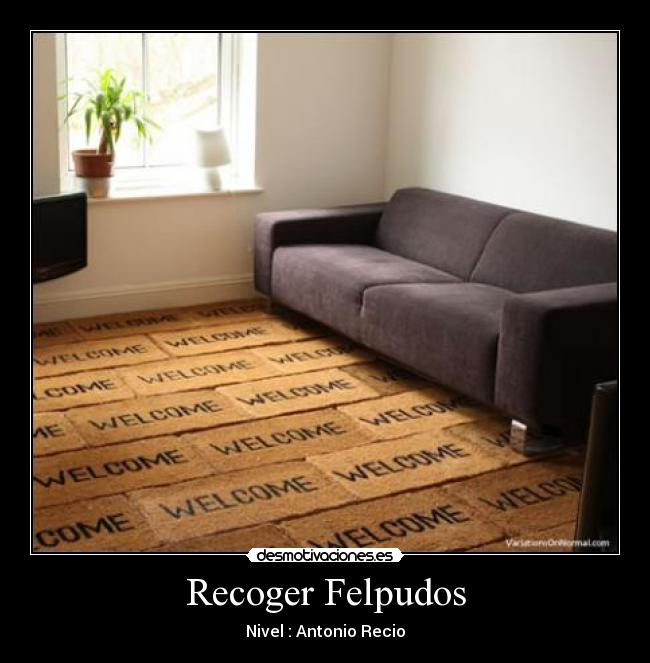 Recoger Felpudos - Nivel : Antonio Recio