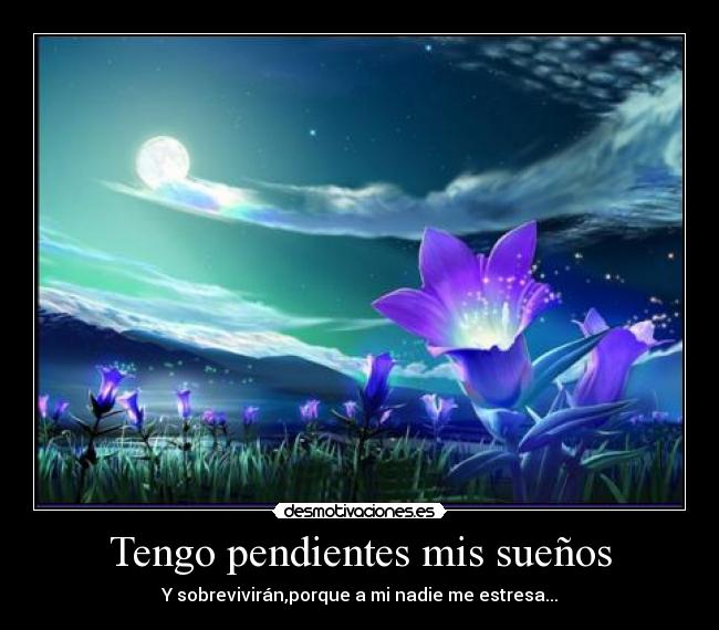 Tengo pendientes mis sueños - Y sobrevivirán,porque a mi nadie me estresa...