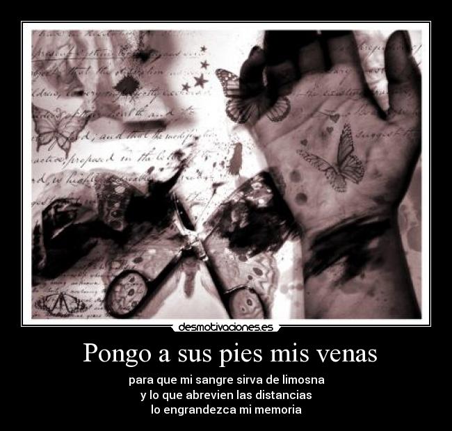 Pongo a sus pies mis venas - para que mi sangre sirva de limosna
y lo que abrevien las distancias
lo engrandezca mi memoria