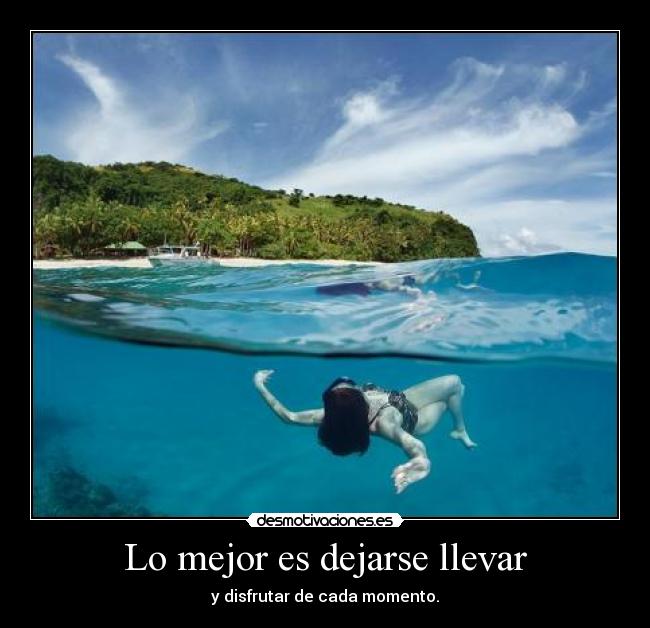 carteles dejarse llevar zorra implakable desmotivaciones