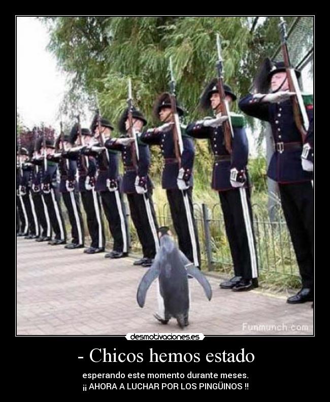 - Chicos hemos estado - esperando este momento durante meses.
¡¡ AHORA A LUCHAR POR LOS PINGÜINOS !!