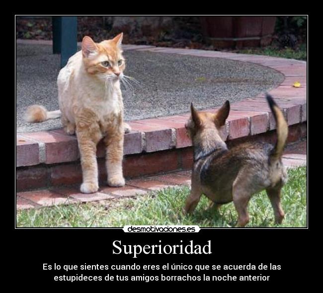 carteles superioridad desmotivaciones