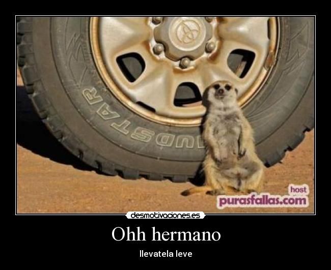 Ohh hermano - llevatela leve