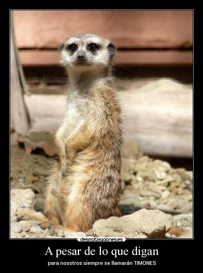 A pesar de lo que digan - 