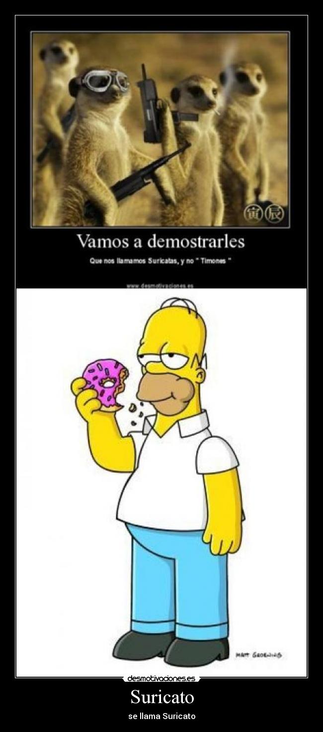 carteles suricato desmotivaciones