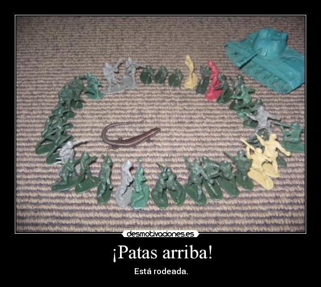 ¡Patas arriba! -