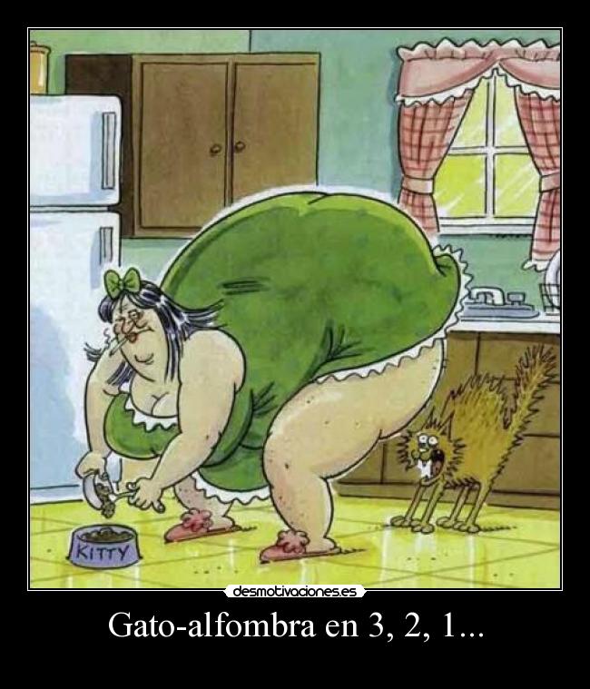 Gato-alfombra en 3, 2, 1... -