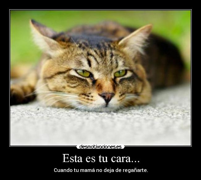 Esta es tu cara... - Cuando tu mamá no deja de regañarte.