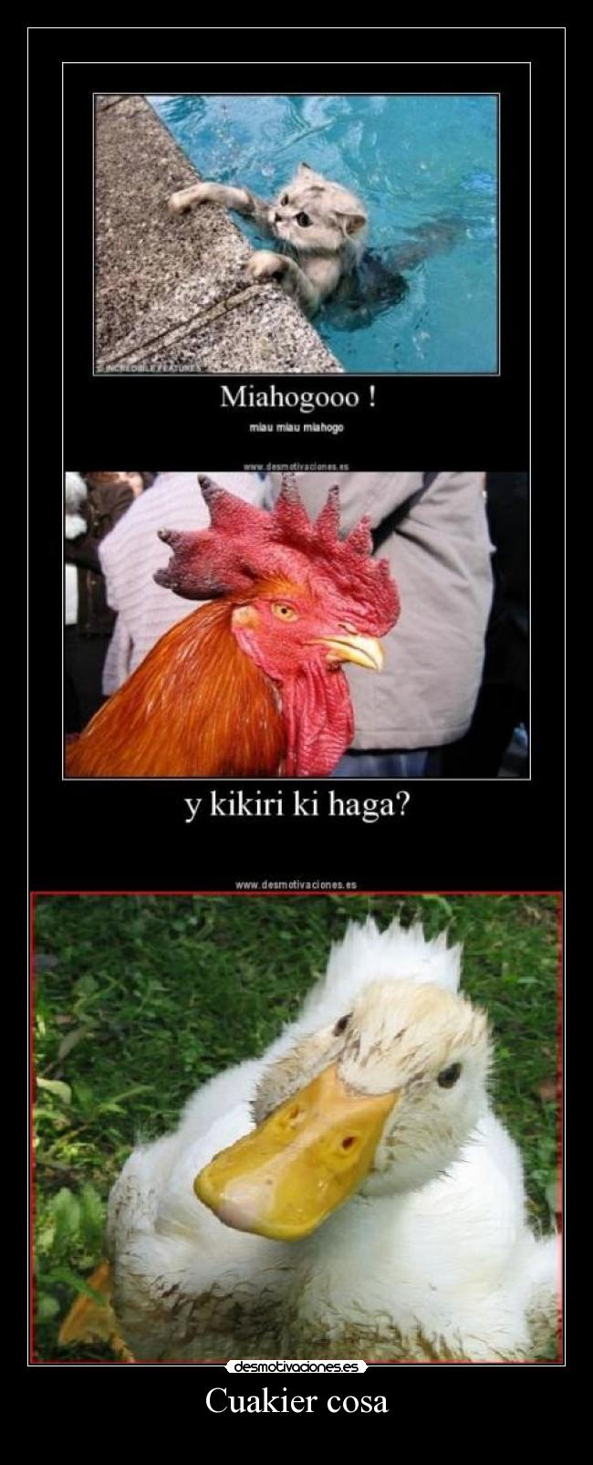 Cuakier cosa -