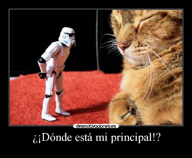 ¿¡Dónde está mi principal!? -
