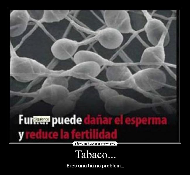 Tabaco... - 