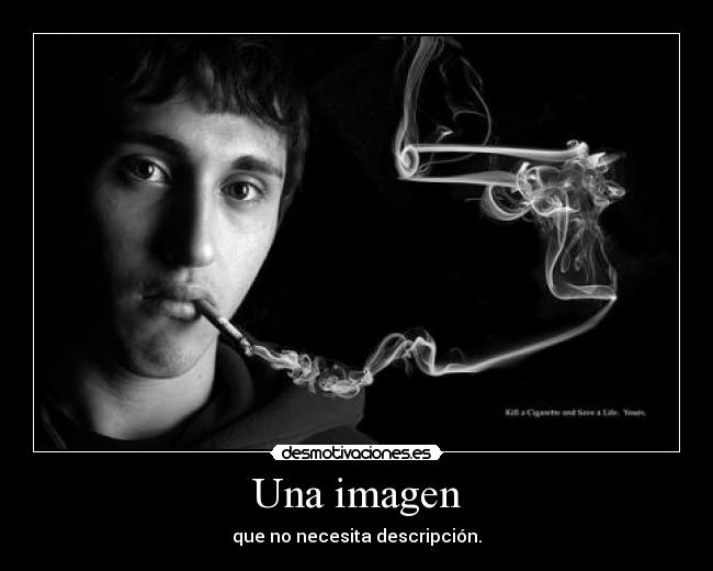 Una imagen - que no necesita descripción.