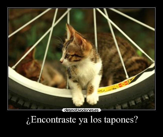 ¿Encontraste ya los tapones? -