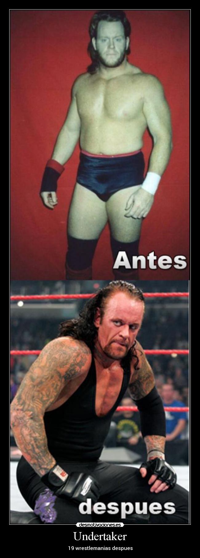 Undertaker -
