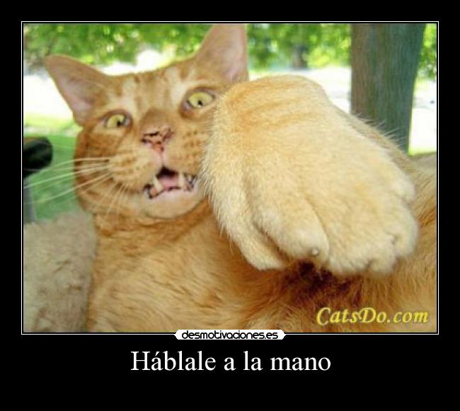 Háblale a la mano -