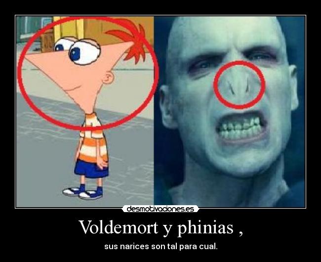 Voldemort y phinias , - sus narices son tal para cual.