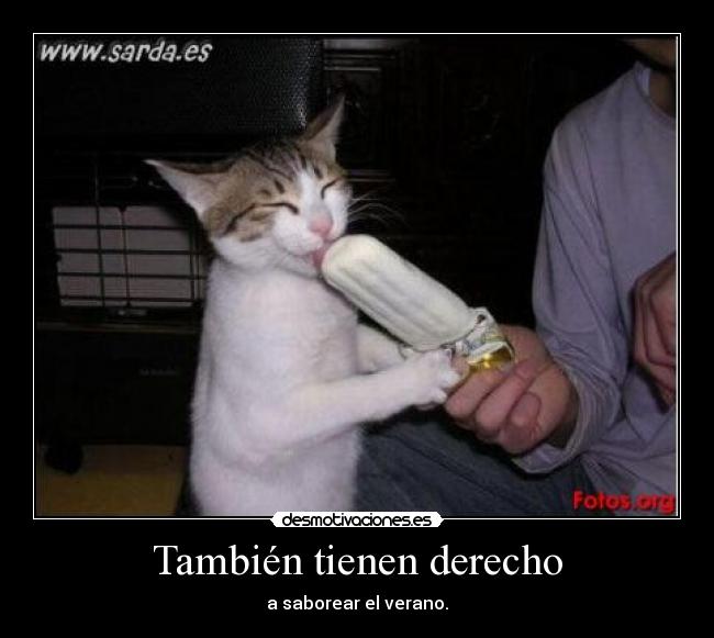 También tienen derecho -