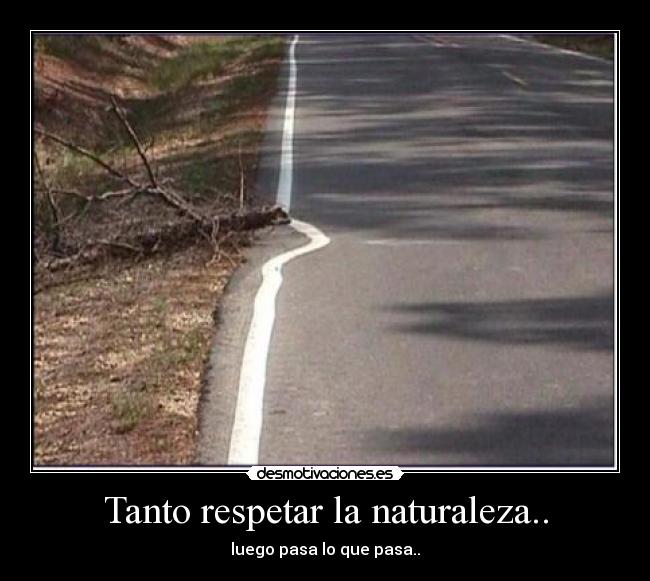 Tanto respetar la naturaleza.. -