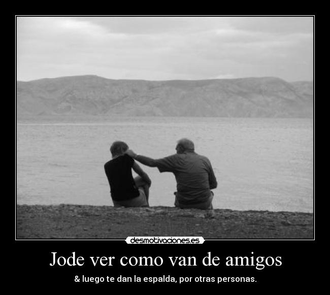 Jode ver como van de amigos - 