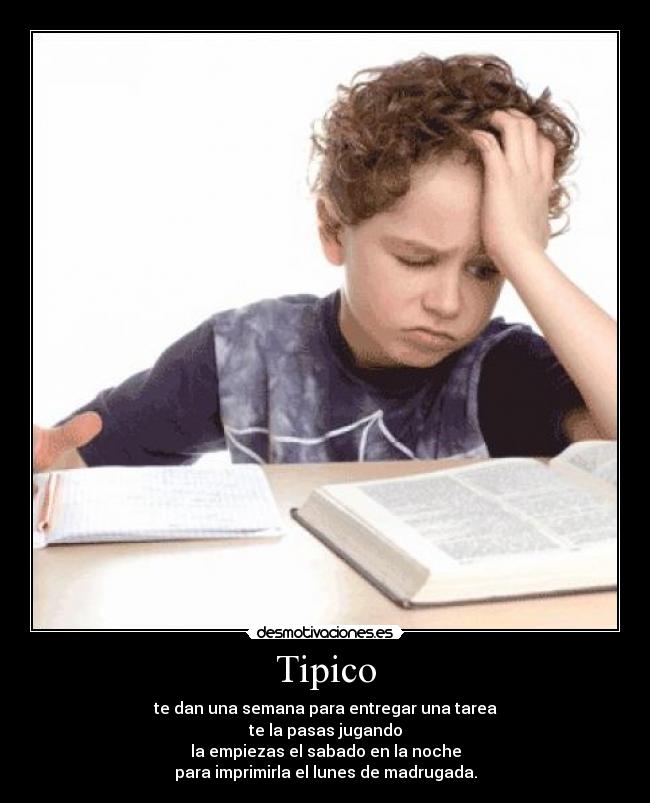 Tipico - 