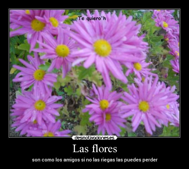 Las flores -