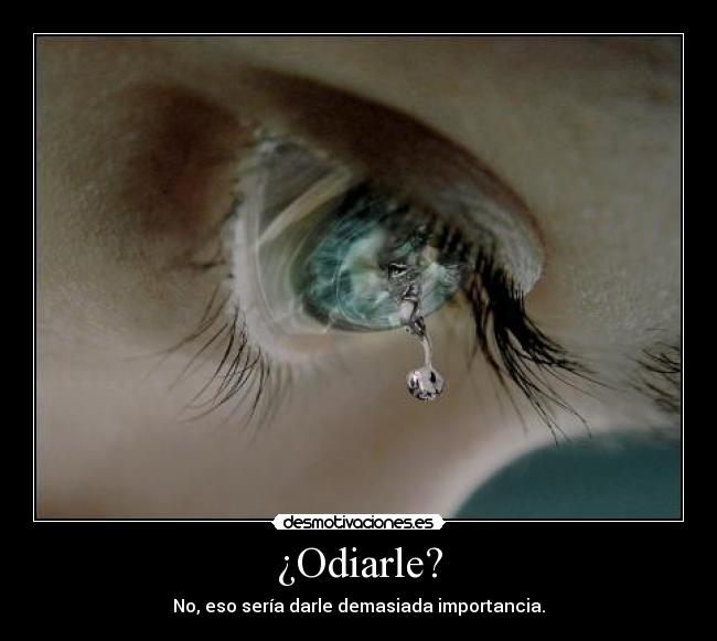 ¿Odiarle? -