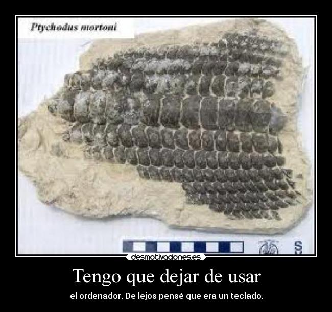 Tengo que dejar de usar -