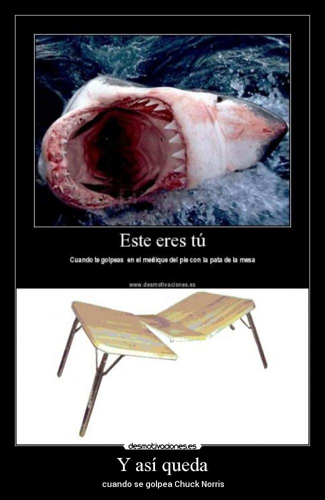 Y así queda - cuando se golpea Chuck Norris