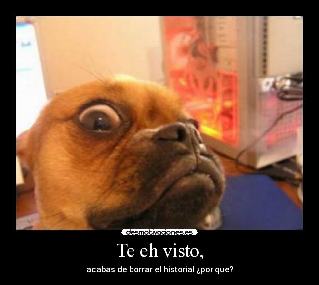 Te eh visto, - acabas de borrar el historial ¿por que?