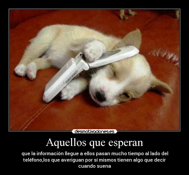 Aquellos que esperan - que la información llegue a ellos pasan mucho tiempo al lado del
teléfono,los que averiguan por sí mismos tienen algo que decir
cuando suena