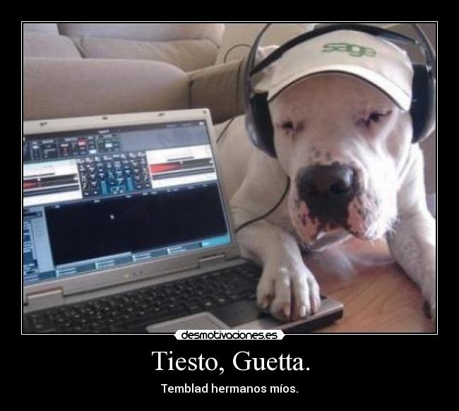 Tiesto, Guetta. - 