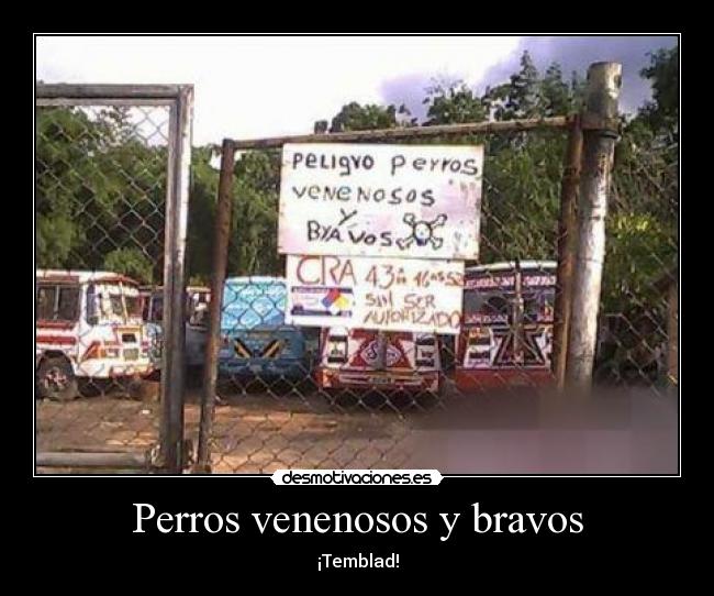 Perros venenosos y bravos - 