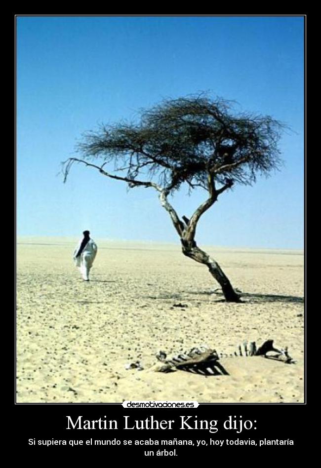 Martin Luther King dijo: - 