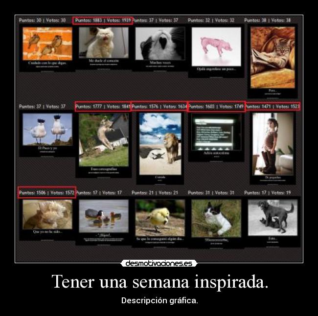 Tener una semana inspirada. - 