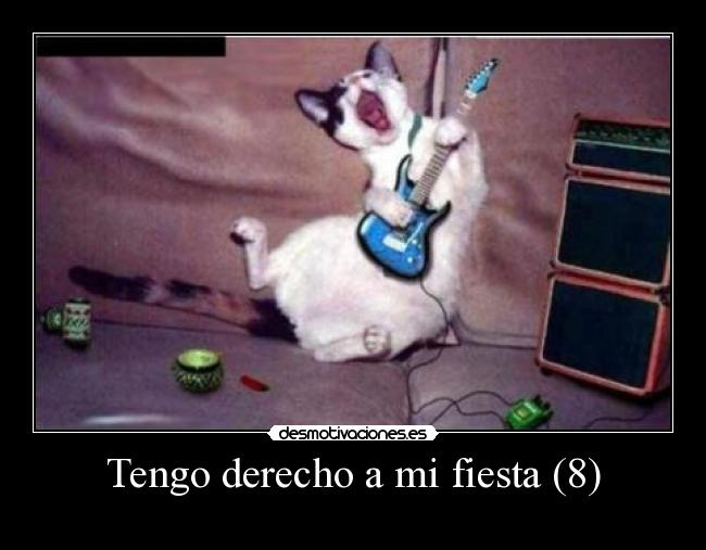 Tengo derecho a mi fiesta (8) -