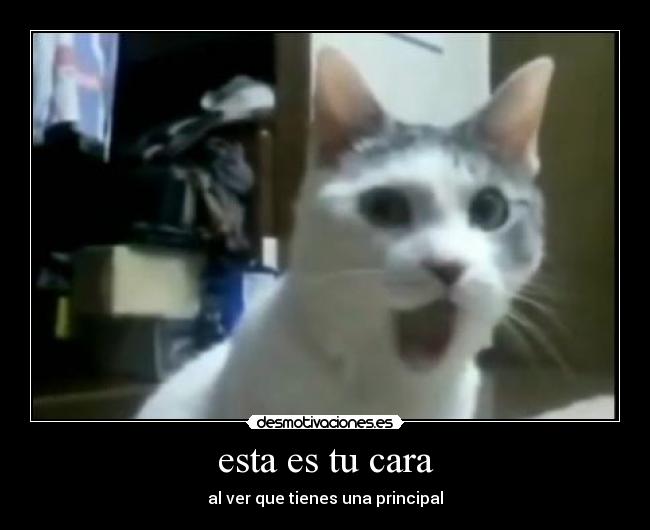 esta es tu cara - al ver que tienes una principal