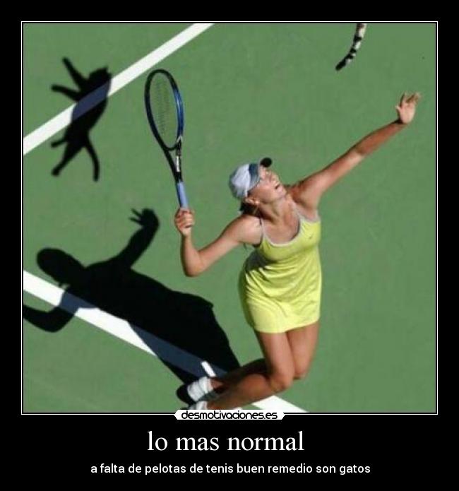 lo mas normal - a falta de pelotas de tenis buen remedio son gatos